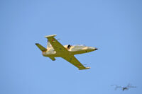 L-39 Albatros without Retract